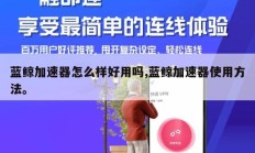 蓝鲸加速器怎么样好用吗,蓝鲸加速器使用方法。